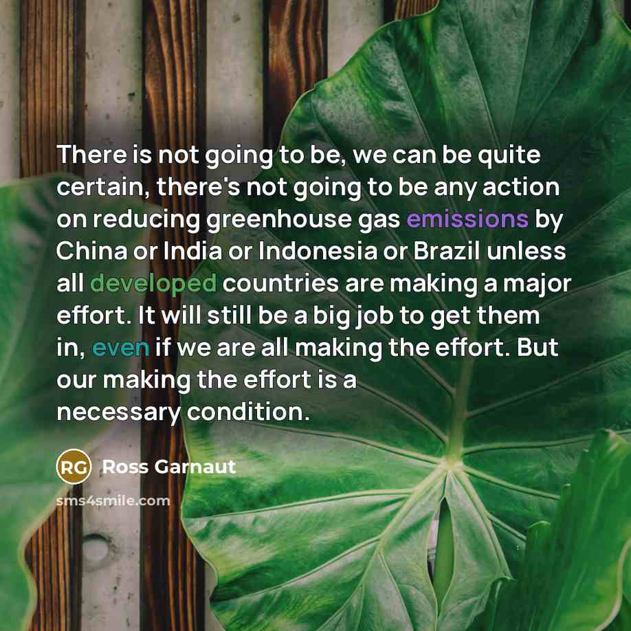 “There is not going to be, we can be quite certain, there's not going to be any action on reducing greenhouse gas emissions by China or India or Indonesia or Brazil unless all developed countries are making a major effort. It will still be a big job to get them in, even if we are all making the…” quote by Ross Garnaut