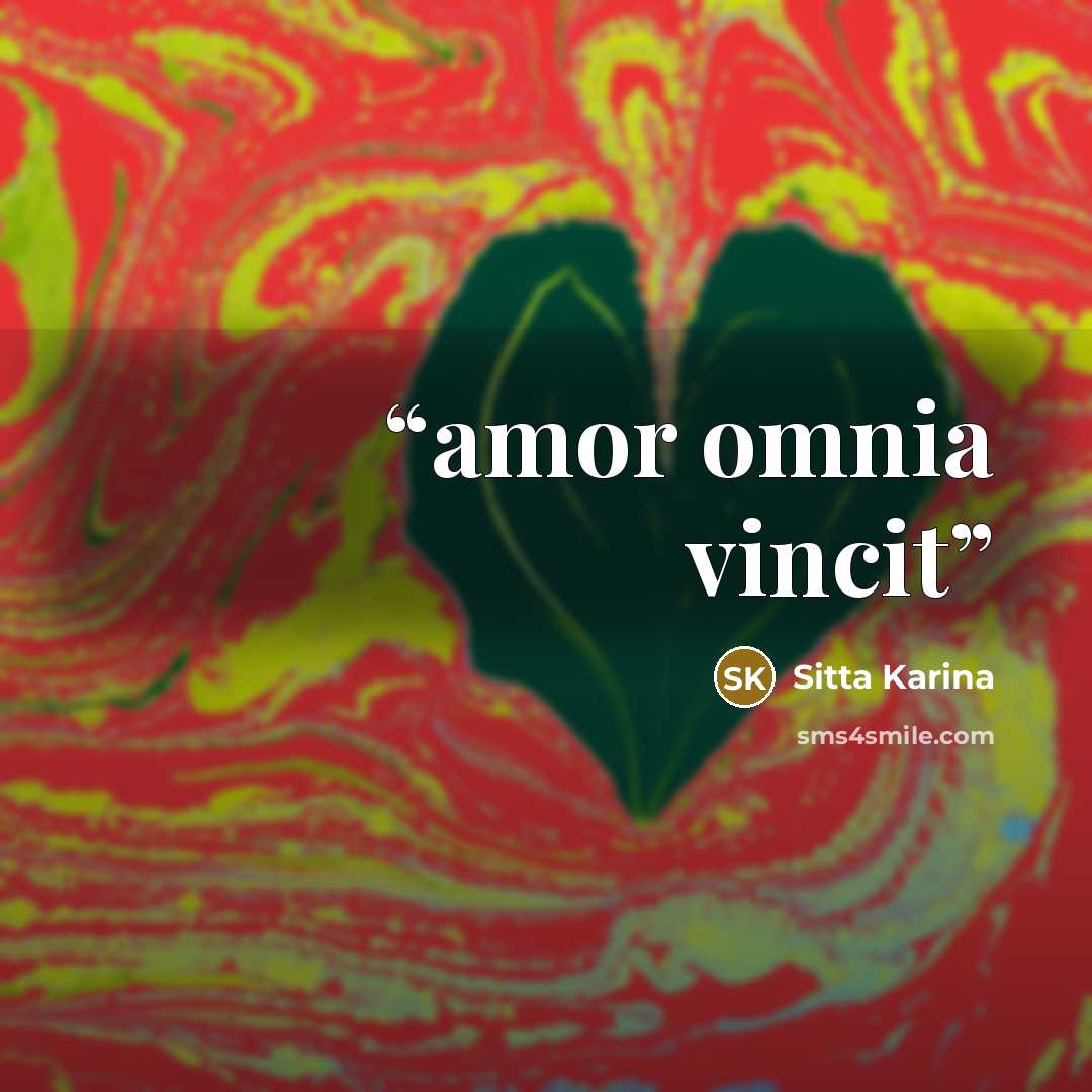 “amor omnia vincit” quote by Sitta Karina