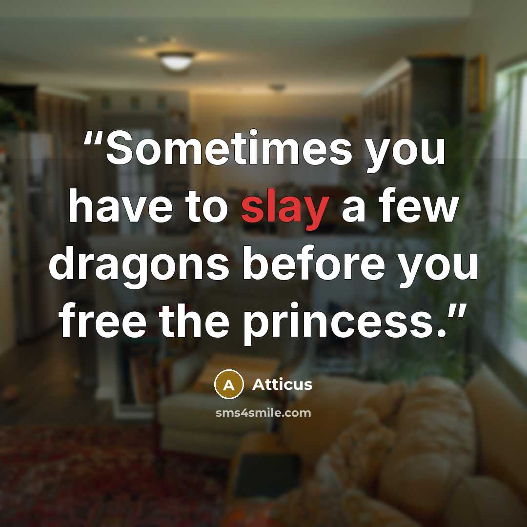 “Sometimes you have to slay a few dragons before you free the princess.” quote by Atticus