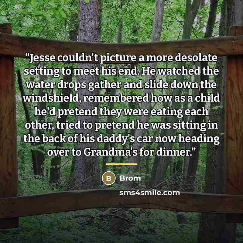“Jesse couldn't picture a more desolate setting to meet his end. He watched the water drops gather and slide down the windshield, remembered how as a child he'd pretend they were eating each other, tried to pretend he was sitting in the back of his daddy's car now heading over to Grandma's for…” quote by Brom