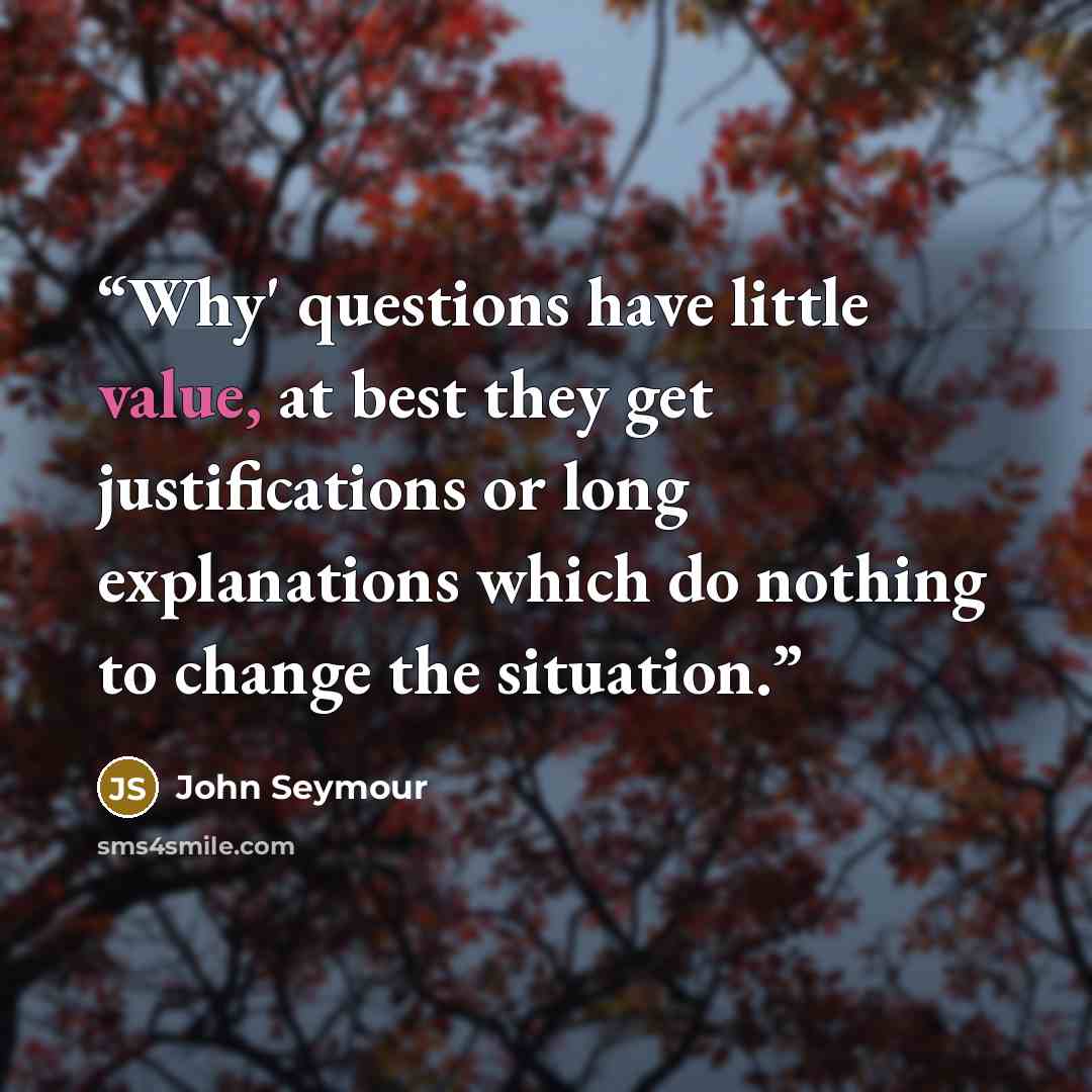 “Why' questions have little value, at best they get justifications or long explanations which do nothing to change the situation.” quote by John Seymour