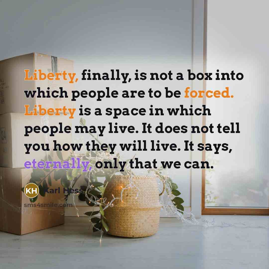 “Liberty, finally, is not a box into which people are to be forced. Liberty is a space in which people may live. It does not tell you how they will live. It says, eternally, only that we can.” quote by Karl Hess