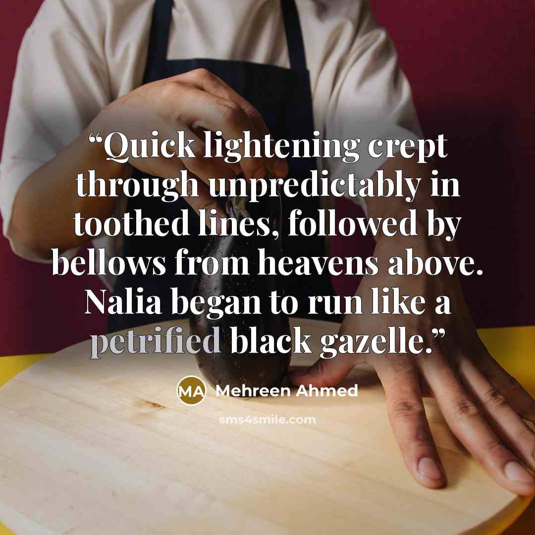 “Quick lightening crept through unpredictably in toothed lines, followed by bellows from heavens above. Nalia began to run like a petrified black gazelle.” quote by Mehreen Ahmed