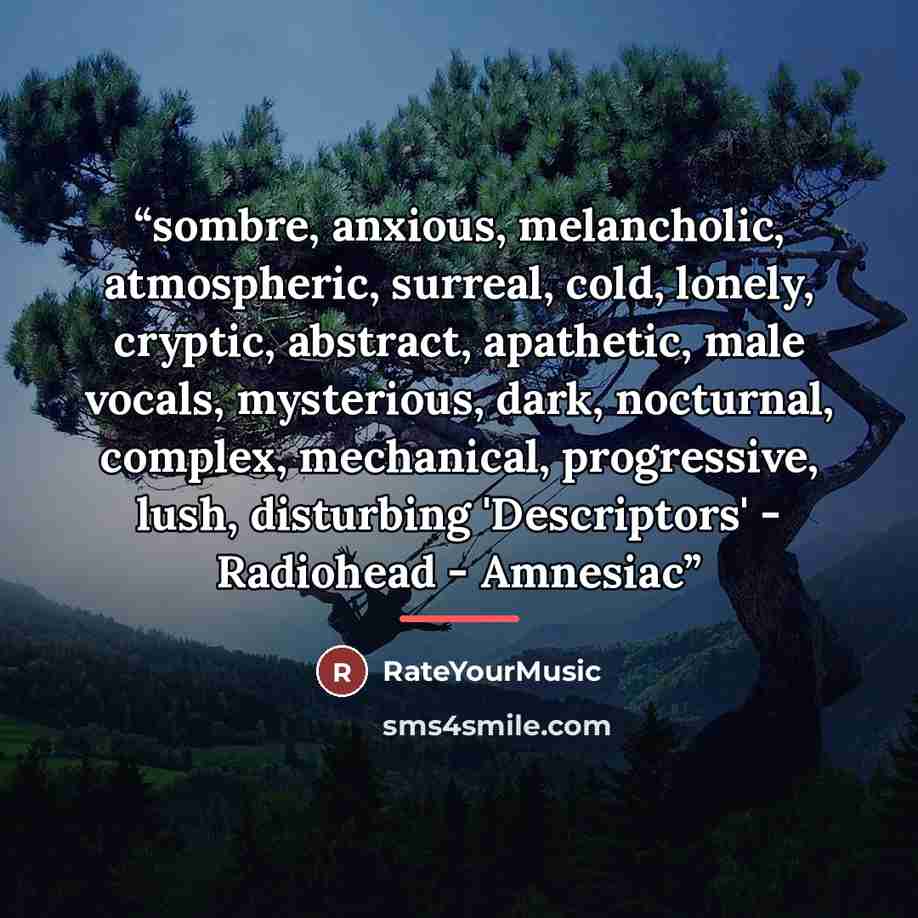 “sombre, anxious, melancholic, atmospheric, surreal, cold, lonely, cryptic, abstract, apathetic, male vocals, mysterious, dark, nocturnal, complex, mechanical, progressive, lush, disturbing 'Descriptors' - Radiohead - Amnesiac” quote by RateYourMusic