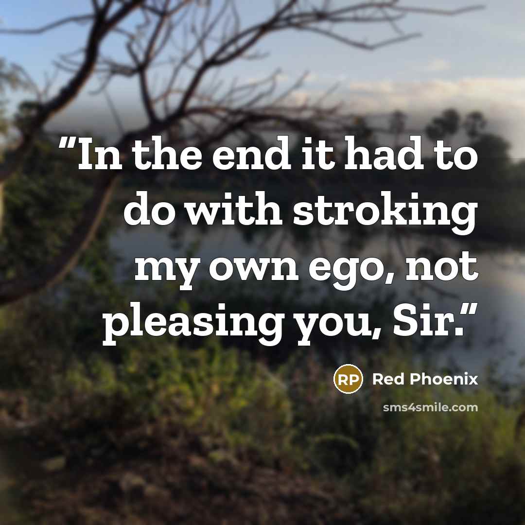 “In the end it had to do with stroking my own ego, not pleasing you, Sir.” quote by Red Phoenix