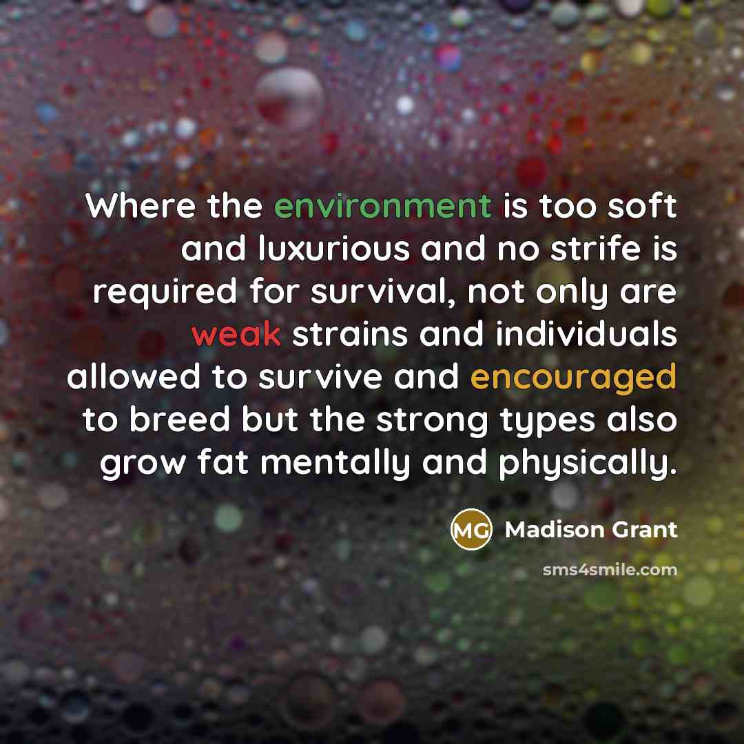 “Where the environment is too soft and luxurious and no strife is required for survival, not only are weak strains and individuals allowed to survive and encouraged to breed but the strong types also grow fat mentally and physically.” quote by Madison Grant