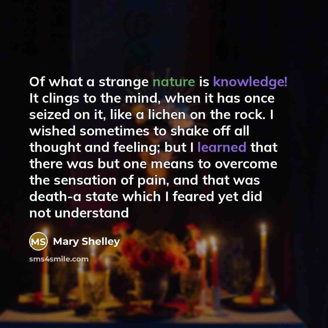 “Of what a strange nature is knowledge! It clings to the mind, when it has once seized on it, like a lichen on the rock. I wished sometimes to shake off all thought and feeling; but I learned that there was but one means to overcome the sensation of pain, and that was death-a state which I feared…” quote by Mary Shelley