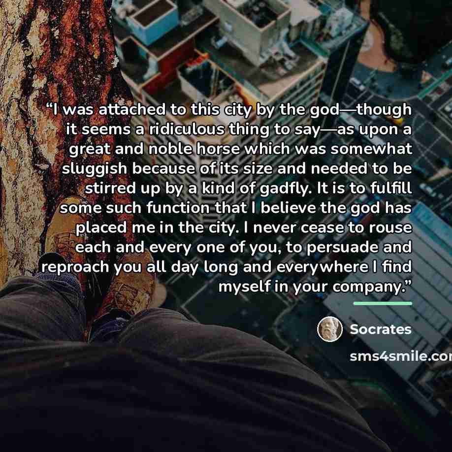 “I was attached to this city by the god—though it seems a ridiculous thing to say—as upon a great and noble horse which was somewhat sluggish because of its size and needed to be stirred up by a kind of gadfly. It is to fulfill some such function that I believe the god has placed me in the city. I…” quote by Socrates