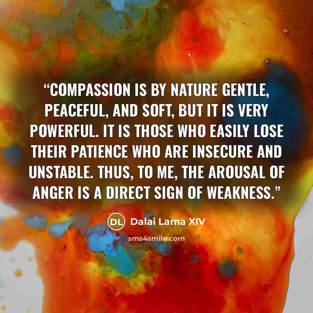 “Compassion is by nature gentle, peaceful, and soft, but it is very powerful. It is those who easily lose their patience who are insecure and unstable. Thus, to me, the arousal of anger is a direct sign of weakness.” quote by Dalai Lama XIV