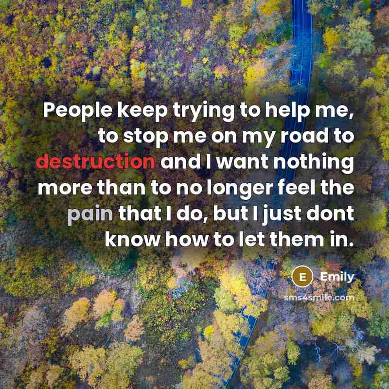 “People keep trying to help me, to stop me on my road to destruction and I want nothing more than to no longer feel the pain that I do, but I just dont know how to let them in.” quote by Emily