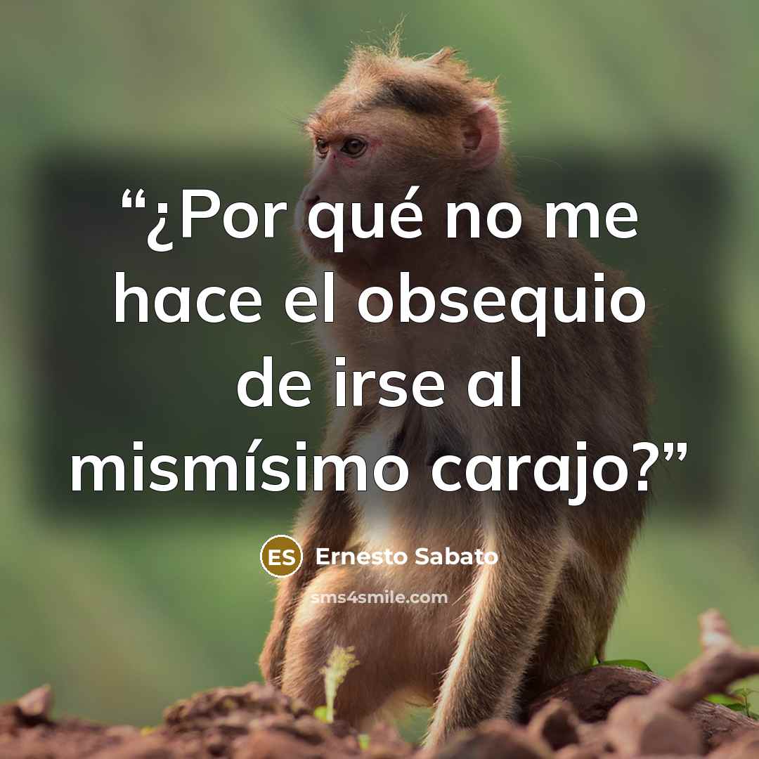 “¿Por qué no me hace el obsequio de irse al mismísimo carajo?” quote by Ernesto Sabato