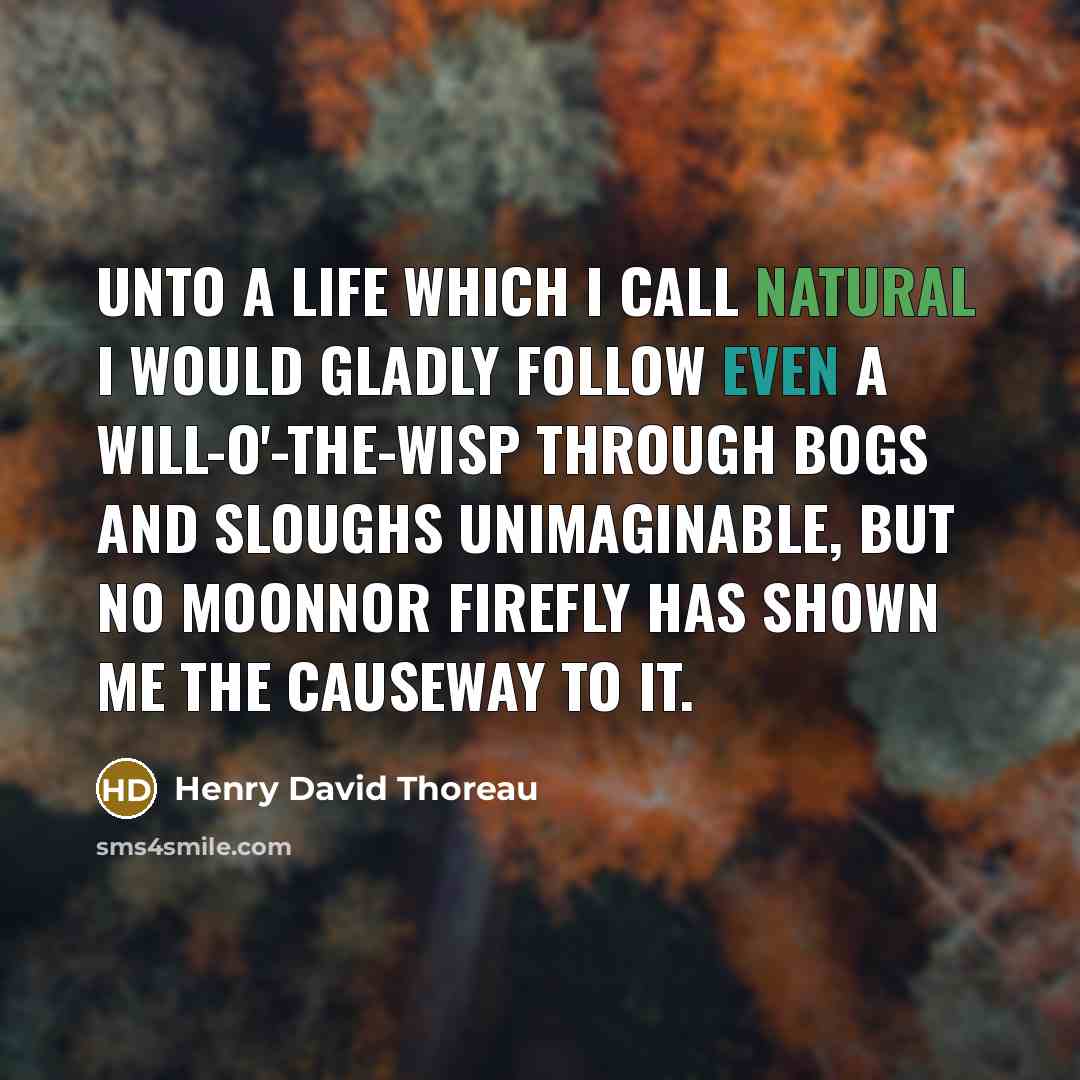 “Unto a life which I call natural I would gladly follow even a will-o'-the-wisp through bogs and sloughs unimaginable, but no moonnor firefly has shown me the causeway to it.” quote by Henry David Thoreau