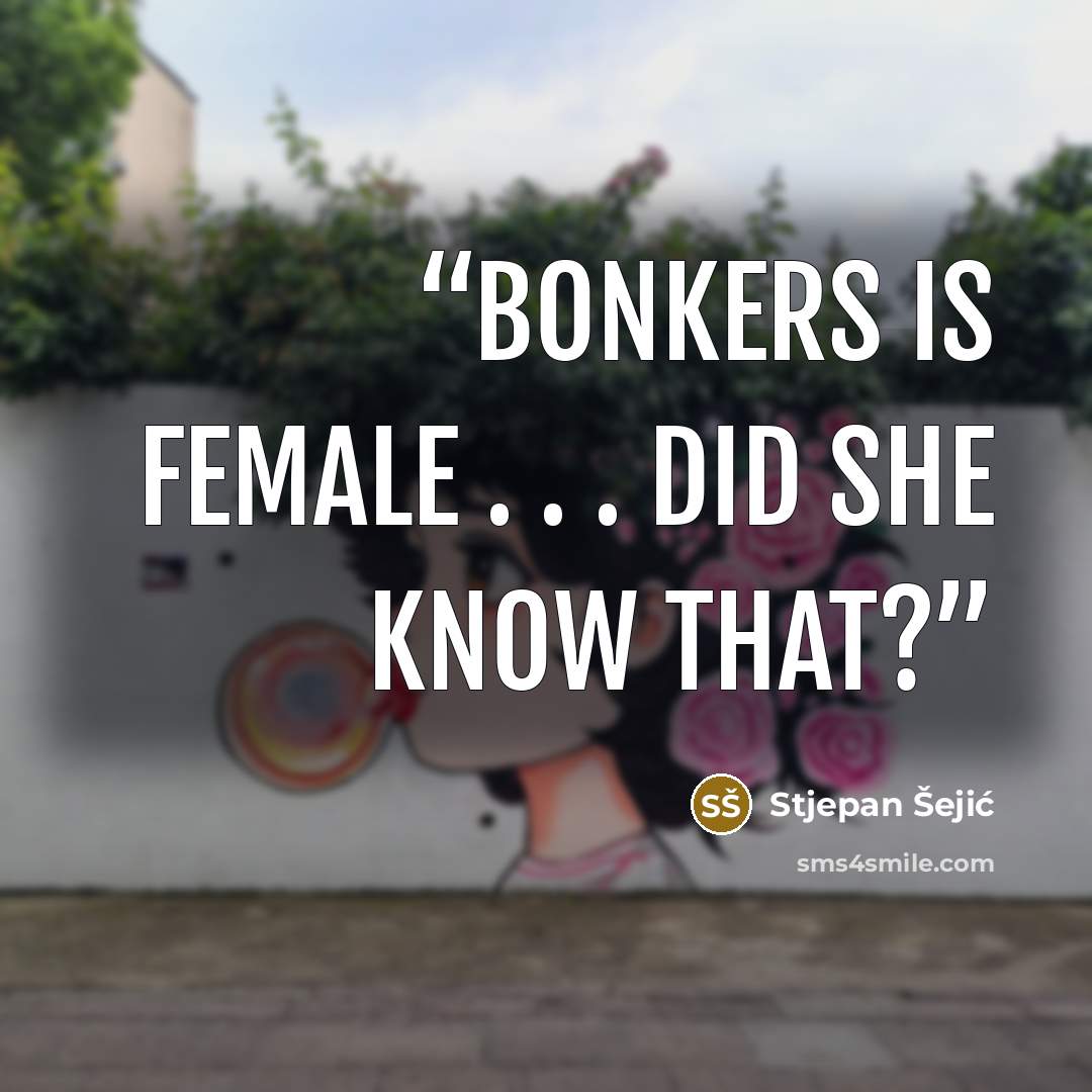 “Bonkers is female . . . Did she know that?” quote by Stjepan Šejić