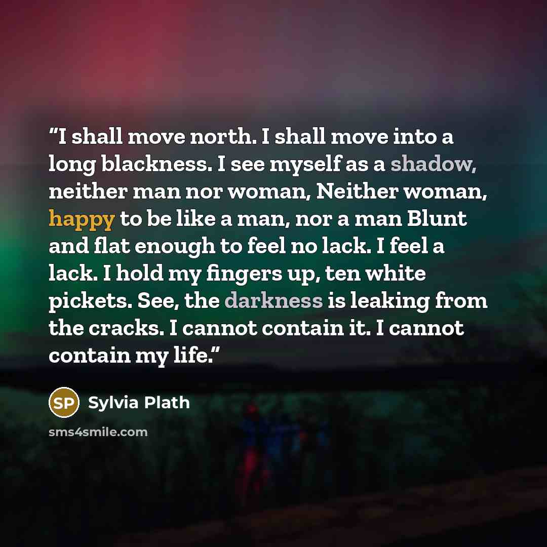 “I shall move north. I shall move into a long blackness. I see myself as a shadow, neither man nor woman, Neither woman, happy to be like a man, nor a man Blunt and flat enough to feel no lack. I feel a lack. I hold my fingers up, ten white pickets. See, the darkness is leaking from the cracks. I…” quote by Sylvia Plath