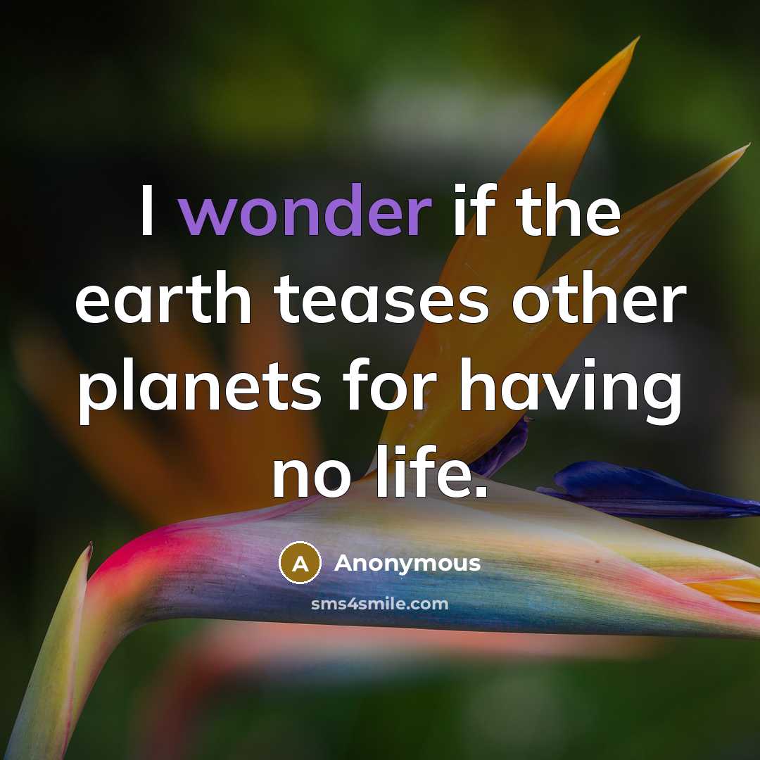 “I wonder if the earth teases other planets for having no life.” quote by Anonymous