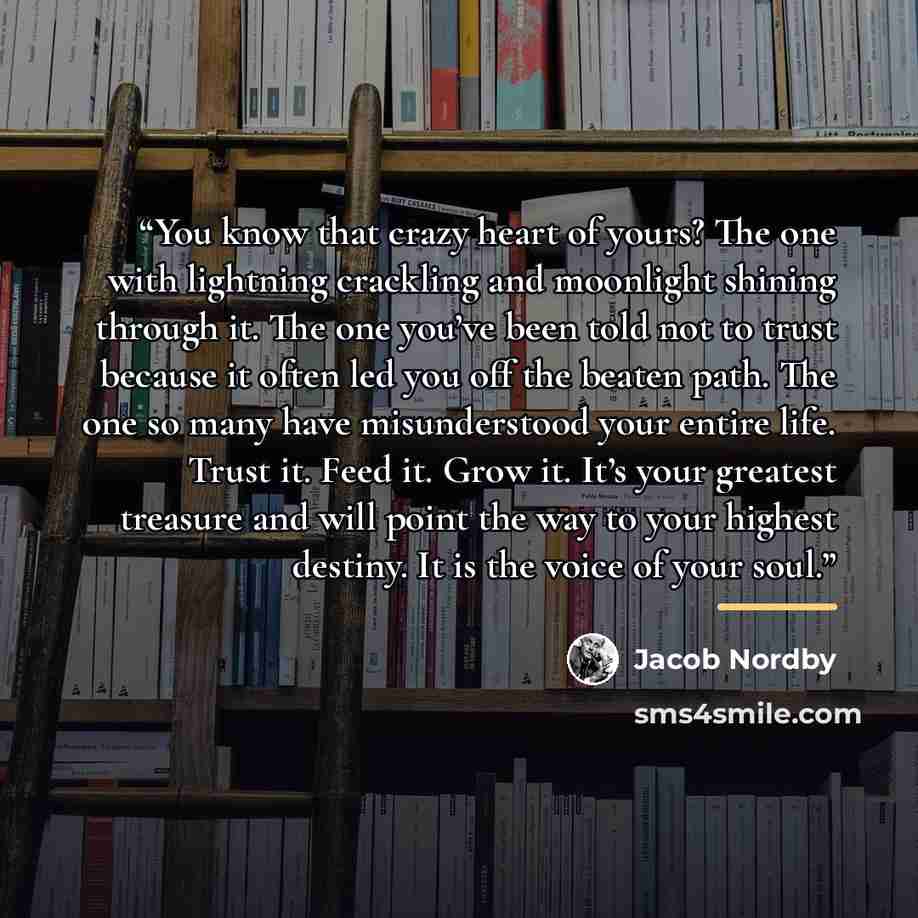 “You know that crazy heart of yours? The one with lightning crackling and moonlight shining through it. The one you’ve been told not to trust because it often led you off the beaten path. The one so many have misunderstood your entire life. Trust it. Feed it. Grow it. It’s your greatest treasure…” quote by Jacob Nordby