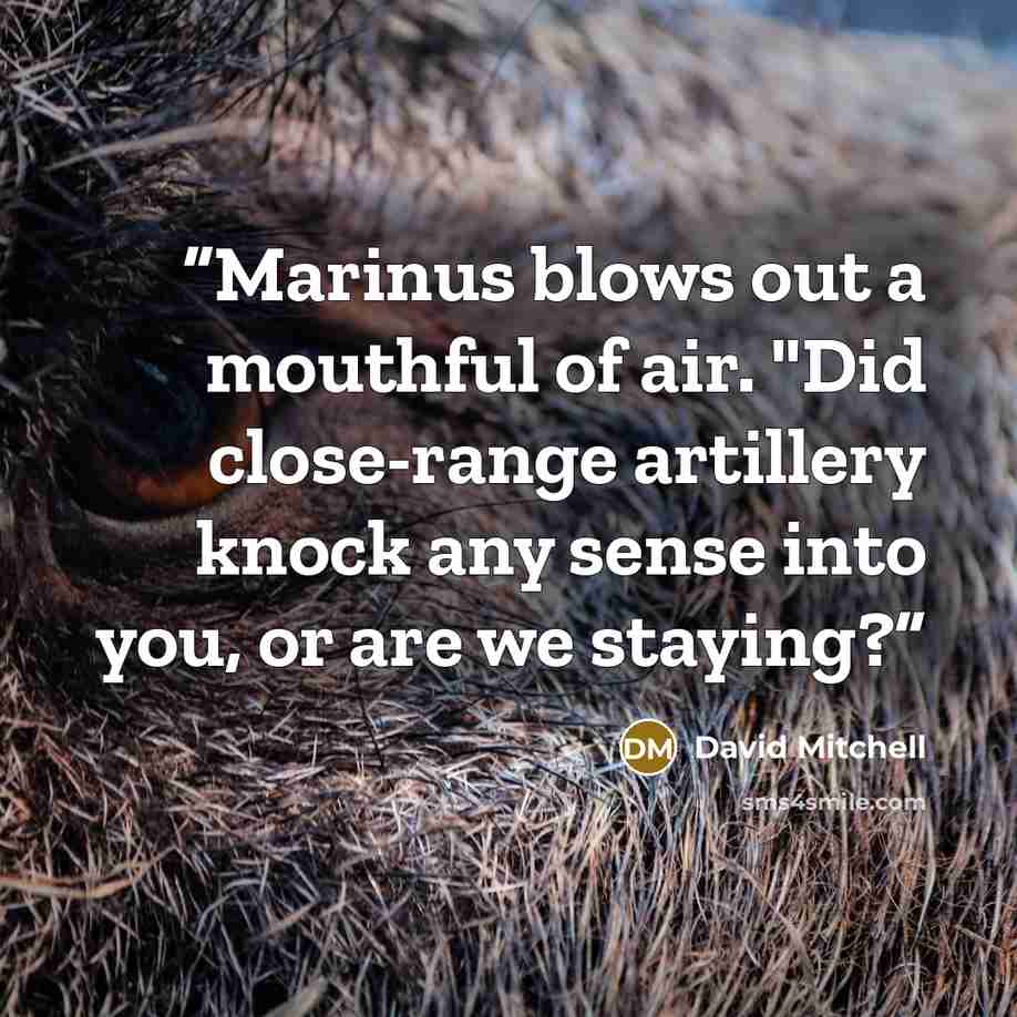 “Marinus blows out a mouthful of air. "Did close-range artillery knock any sense into you, or are we staying?” quote by David Mitchell