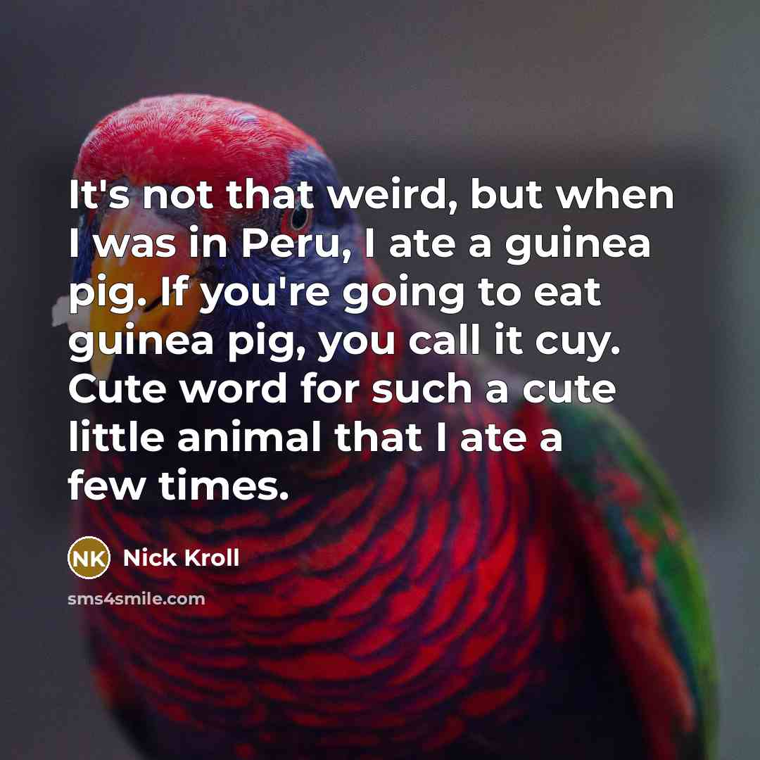 “It's not that weird, but when I was in Peru, I ate a guinea pig. If you're going to eat guinea pig, you call it cuy. Cute word for such a cute little animal that I ate a few times.” quote by Nick Kroll