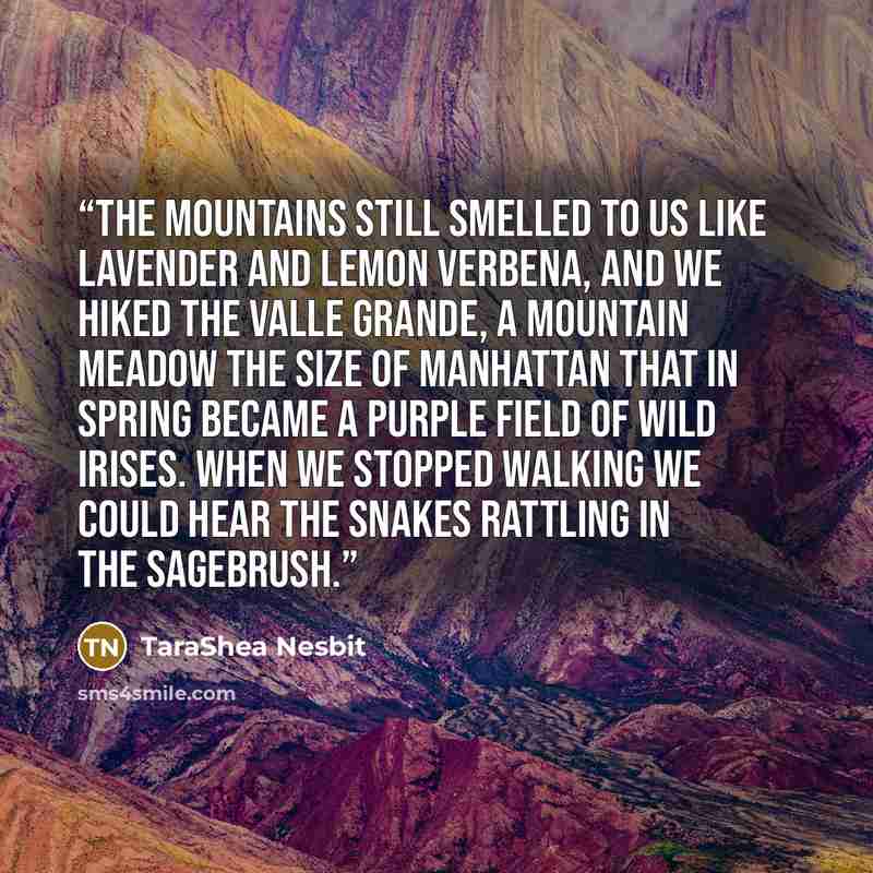 “The mountains still smelled to us like lavender and lemon verbena, and we hiked the Valle Grande, a mountain meadow the size of Manhattan that in spring became a purple field of wild irises. When we stopped walking we could hear the snakes rattling in the sagebrush.” quote by TaraShea Nesbit