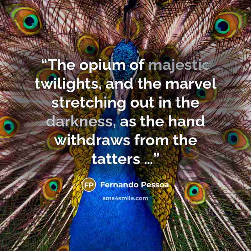 “The opium of majestic twilights, and the marvel stretching out in the darkness, as the hand withdraws from the tatters …” quote by Fernando Pessoa