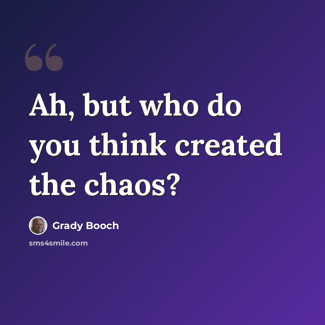 “Ah, but who do you think created the chaos?” quote by Grady Booch