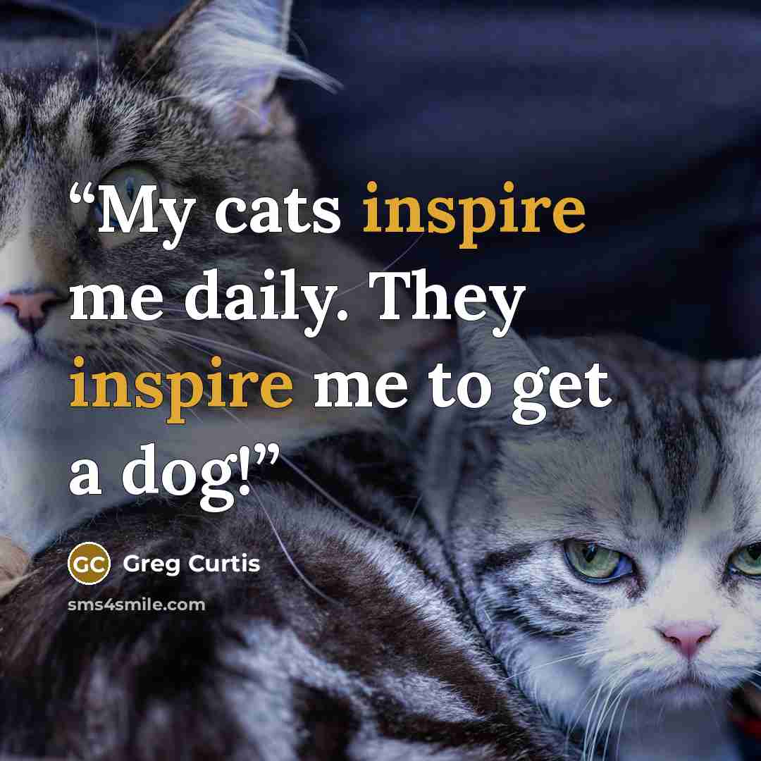 “My cats inspire me daily. They inspire me to get a dog!” quote by Greg Curtis