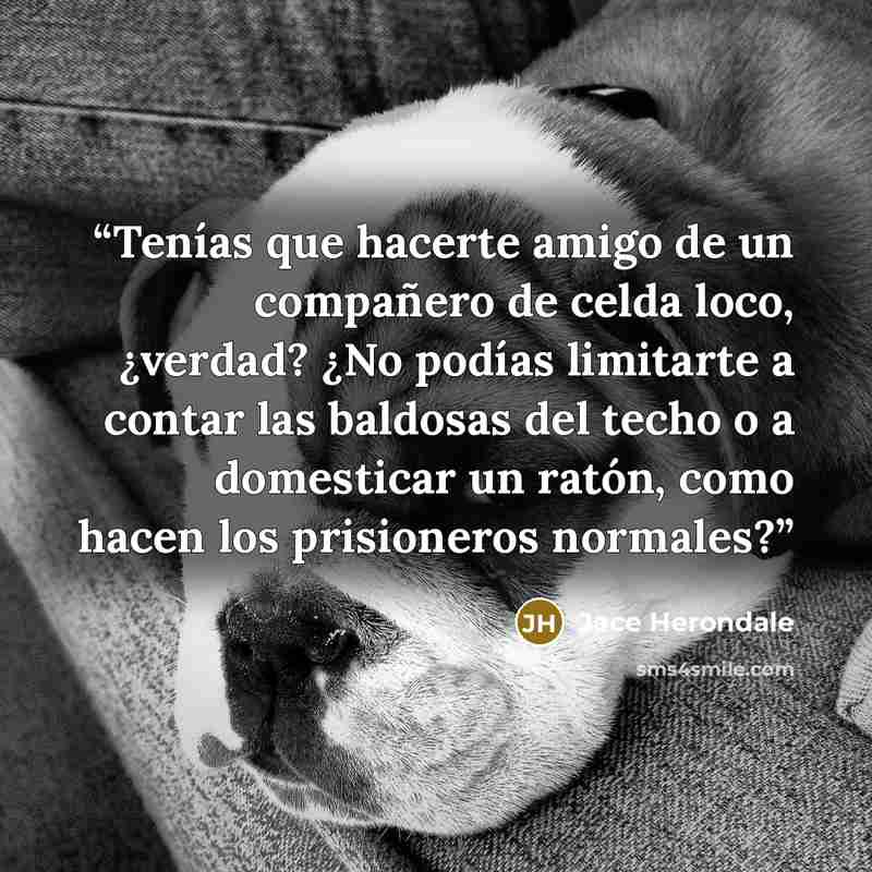 “Tenías que hacerte amigo de un compañero de celda loco, ¿verdad? ¿No podías limitarte a contar las baldosas del techo o a domesticar un ratón, como hacen los prisioneros normales?” quote by Jace Herondale
