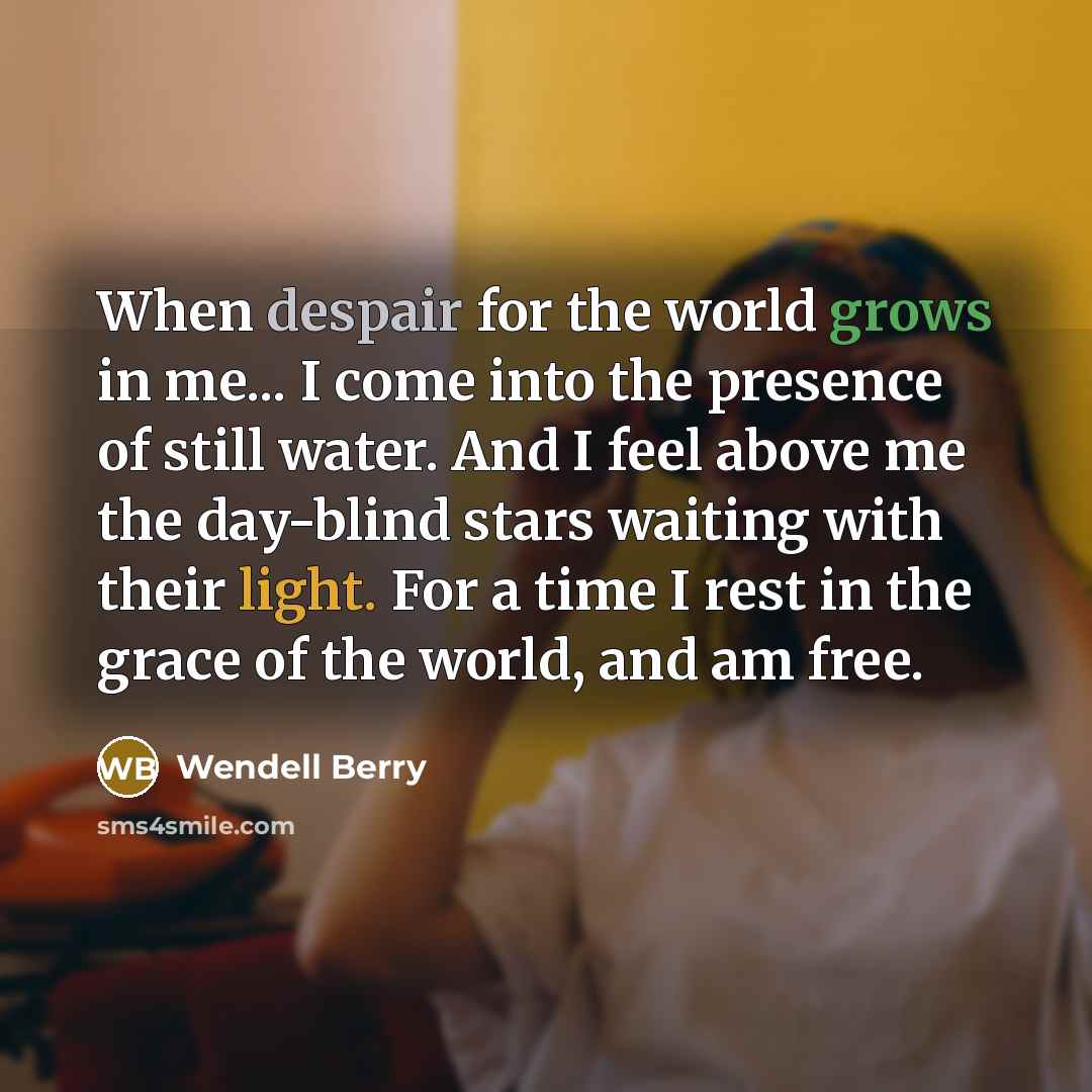 “When despair for the world grows in me... I come into the presence of still water. And I feel above me the day-blind stars waiting with their light. For a time I rest in the grace of the world, and am free.” quote by Wendell Berry