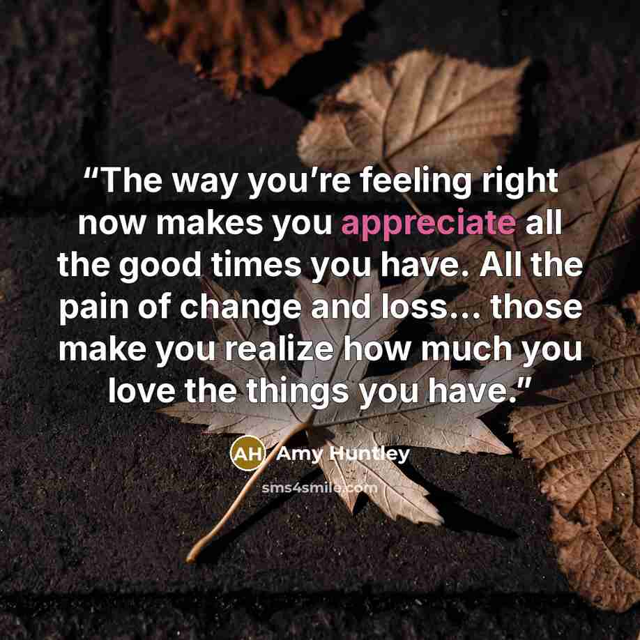 “The way you’re feeling right now makes you appreciate all the good times you have. All the pain of change and loss… those make you realize how much you love the things you have.” quote by Amy Huntley