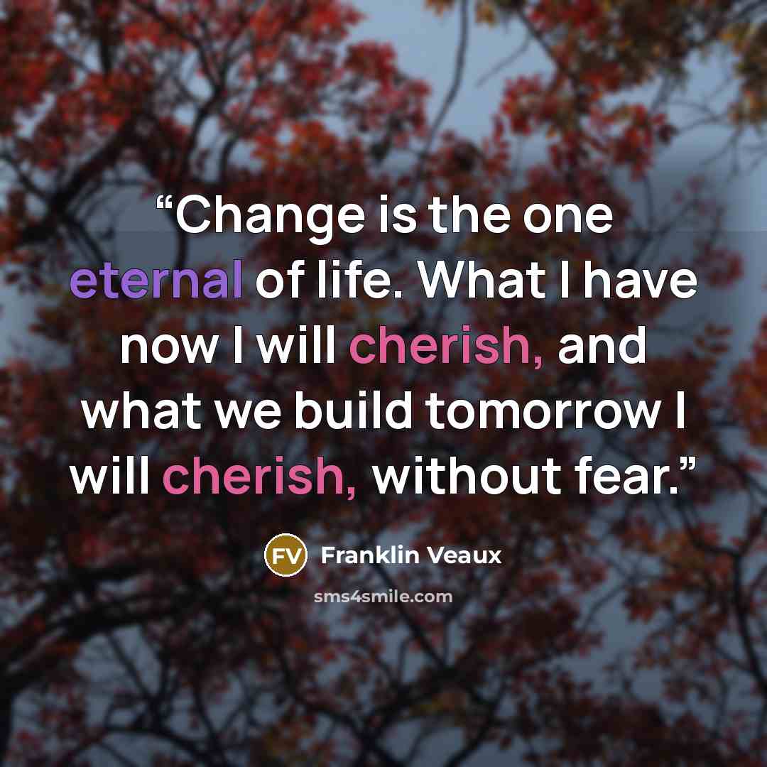 “Change is the one eternal of life. What I have now I will cherish, and what we build tomorrow I will cherish, without fear.” quote by Franklin Veaux