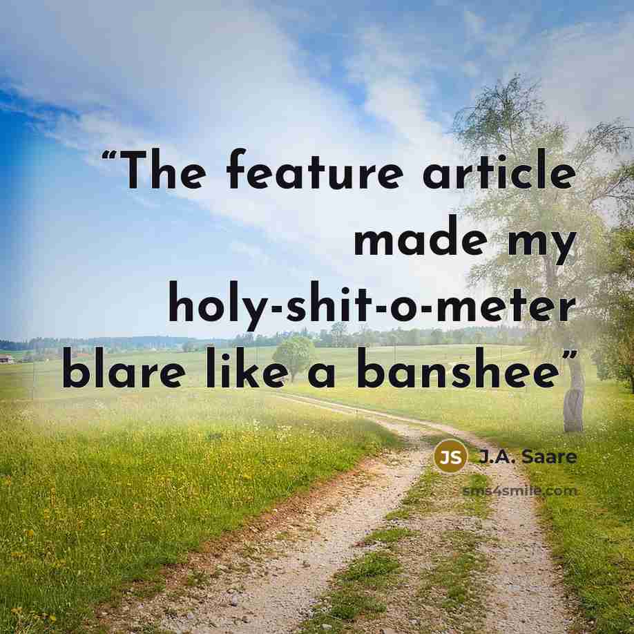 “The feature article made my holy-shit-o-meter blare like a banshee” quote by J.A. Saare