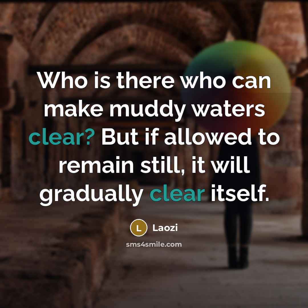 “Who is there who can make muddy waters clear? But if allowed to remain still, it will gradually clear itself.” quote by Laozi