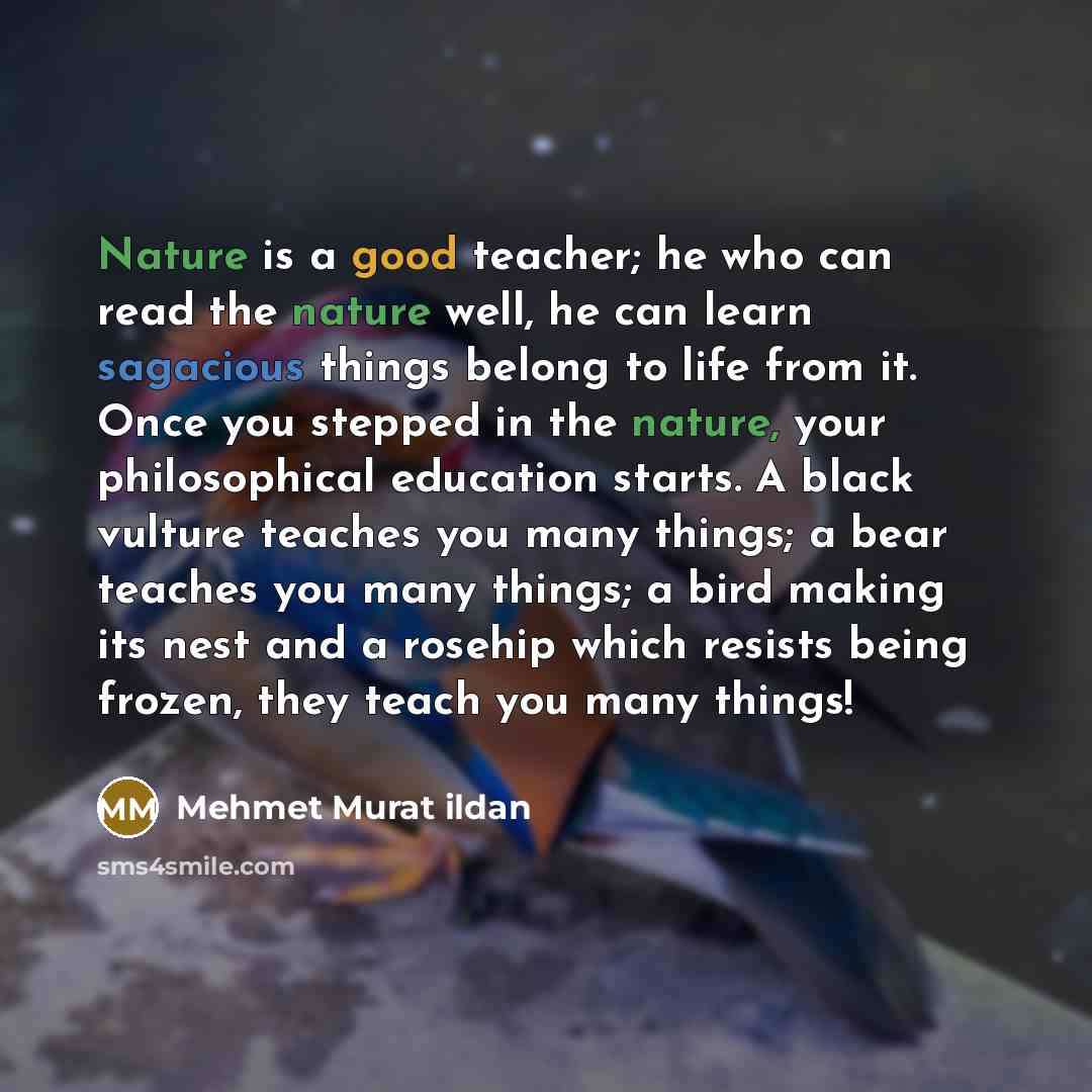 “Nature is a good teacher; he who can read the nature well, he can learn sagacious things belong to life from it. Once you stepped in the nature, your philosophical education starts. A black vulture teaches you many things; a bear teaches you many things; a bird making its nest and a rosehip which…” quote by Mehmet Murat Ildan
