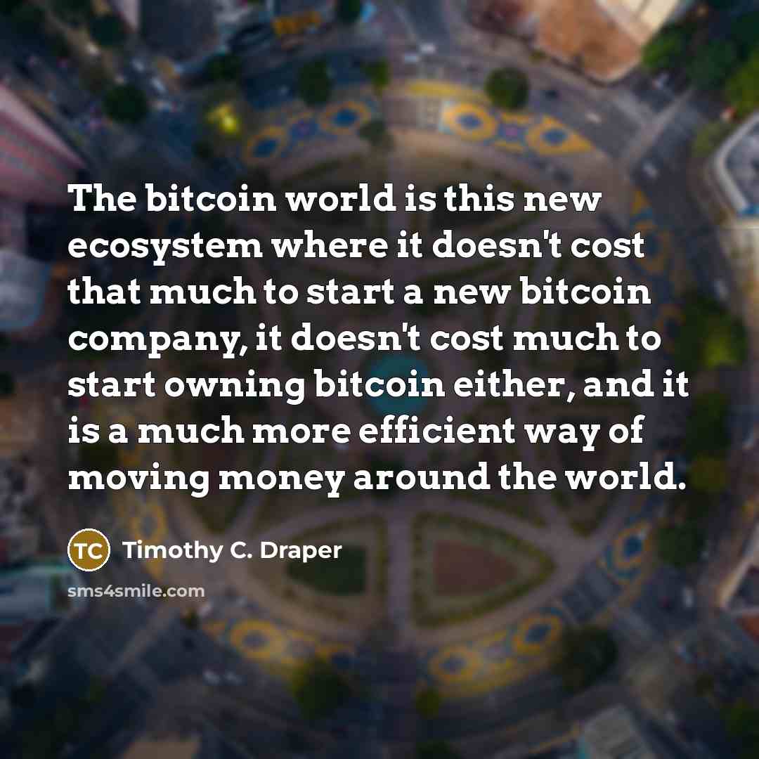 “The bitcoin world is this new ecosystem where it doesn't cost that much to start a new bitcoin company, it doesn't cost much to start owning bitcoin either, and it is a much more efficient way of moving money around the world.” quote by Timothy C. Draper