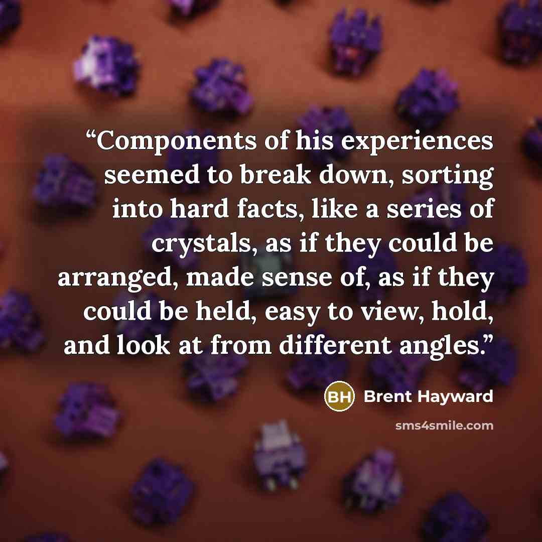 “Components of his experiences seemed to break down, sorting into hard facts, like a series of crystals, as if they could be arranged, made sense of, as if they could be held, easy to view, hold, and look at from different angles.” quote by Brent Hayward