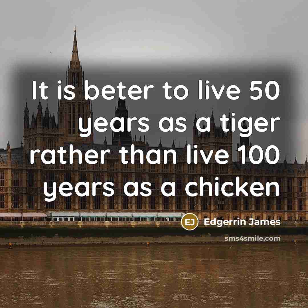 “It is beter to live 50 years as a tiger rather than live 100 years as a chicken” quote by Edgerrin James