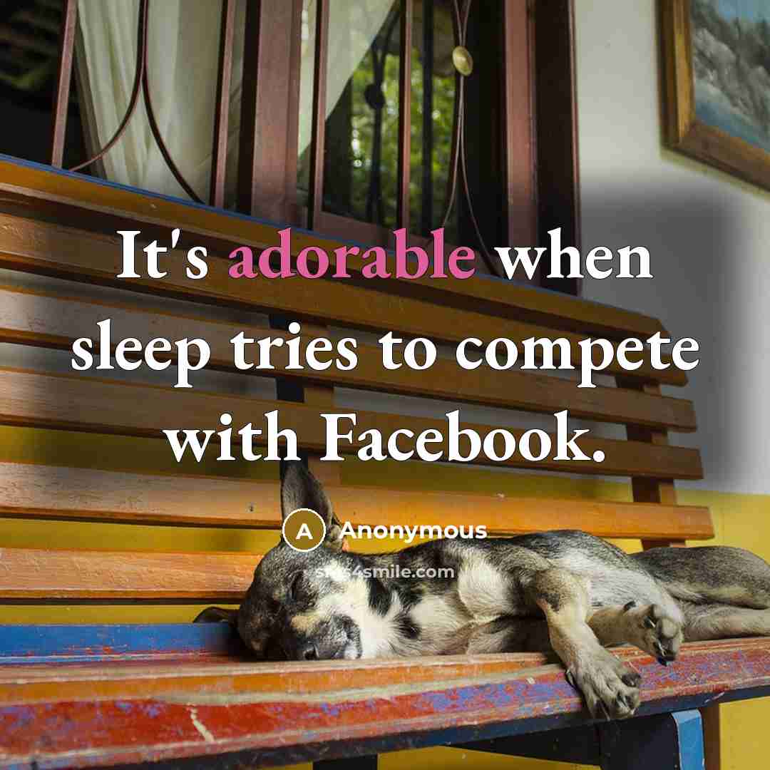 “It's adorable when sleep tries to compete with Facebook.” quote by Anonymous