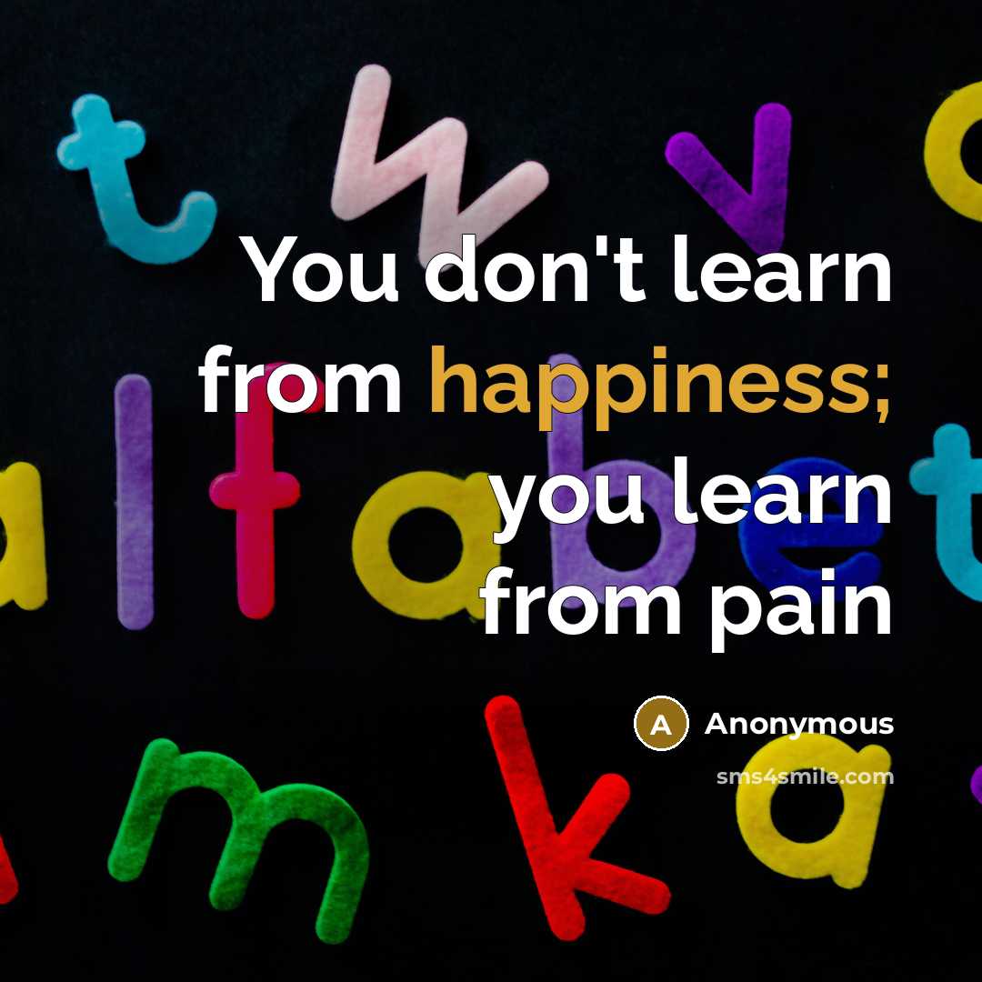 “You don't learn from happiness; you learn from pain” quote by Anonymous