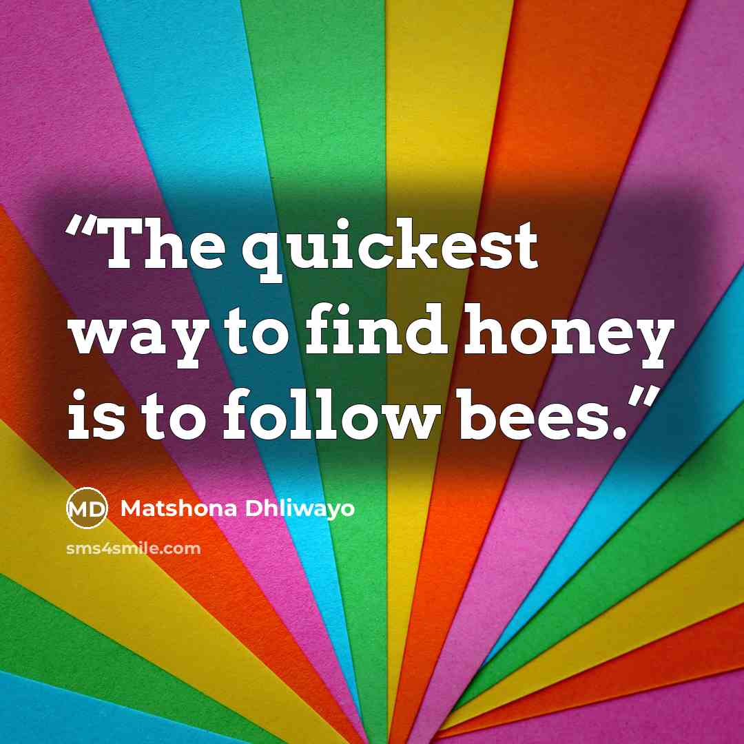 “The quickest way to find honey is to follow bees.” quote by Matshona Dhliwayo