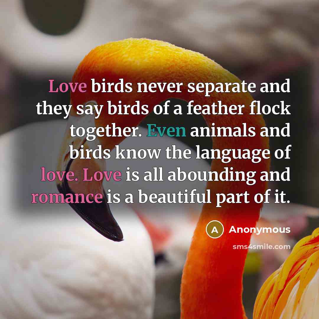 “Love birds never separate and they say birds of a feather flock together. Even animals and birds know the language of love. Love is all abounding and romance is a beautiful part of it.” quote by Anonymous