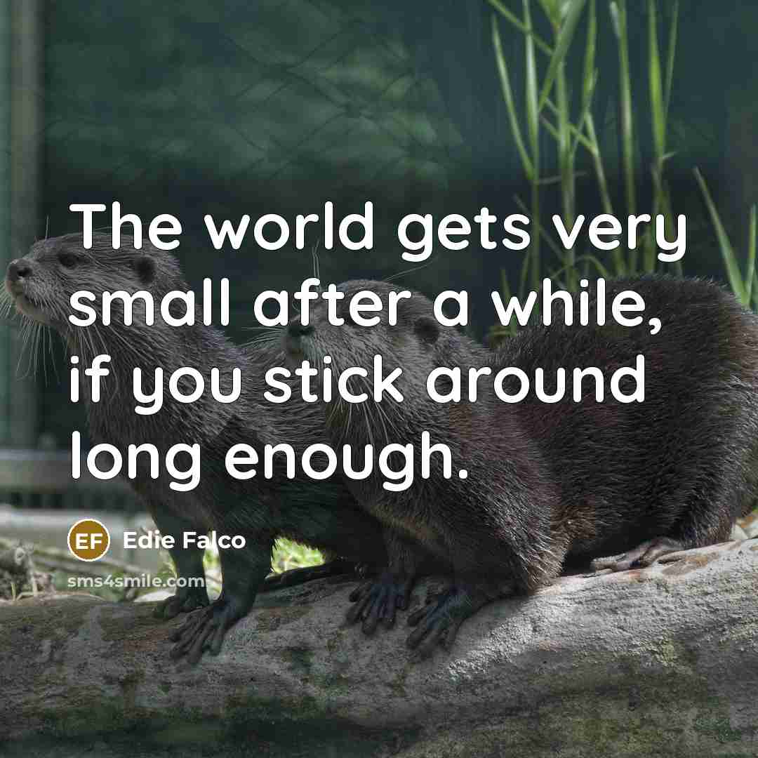 “The world gets very small after a while, if you stick around long enough.” quote by Edie Falco