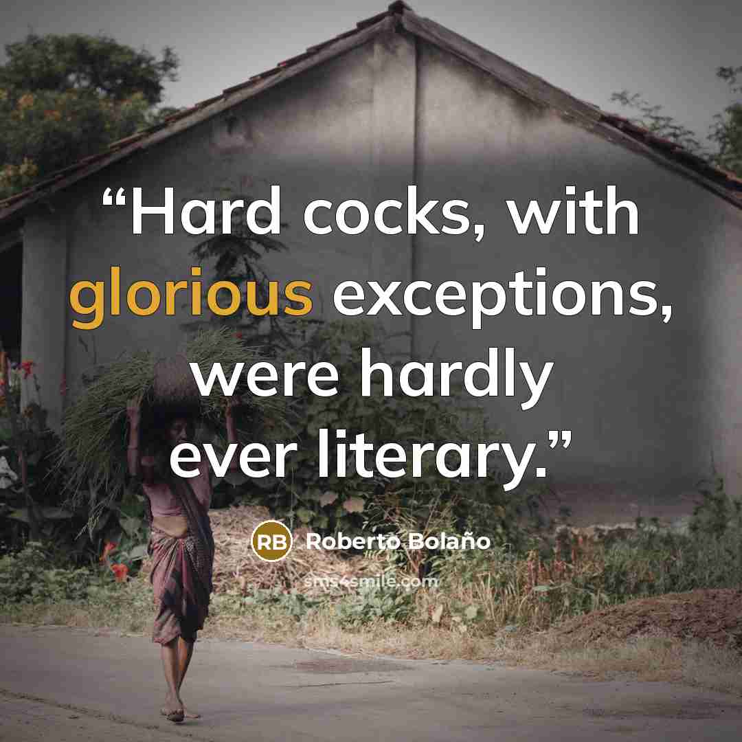 “Hard cocks, with glorious exceptions, were hardly ever literary.” quote by Roberto Bolaño