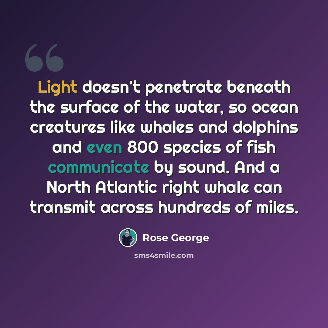 “Light doesn't penetrate beneath the surface of the water, so ocean creatures like whales and dolphins and even 800 species of fish communicate by sound. And a North Atlantic right whale can transmit across hundreds of miles.” quote by Rose George