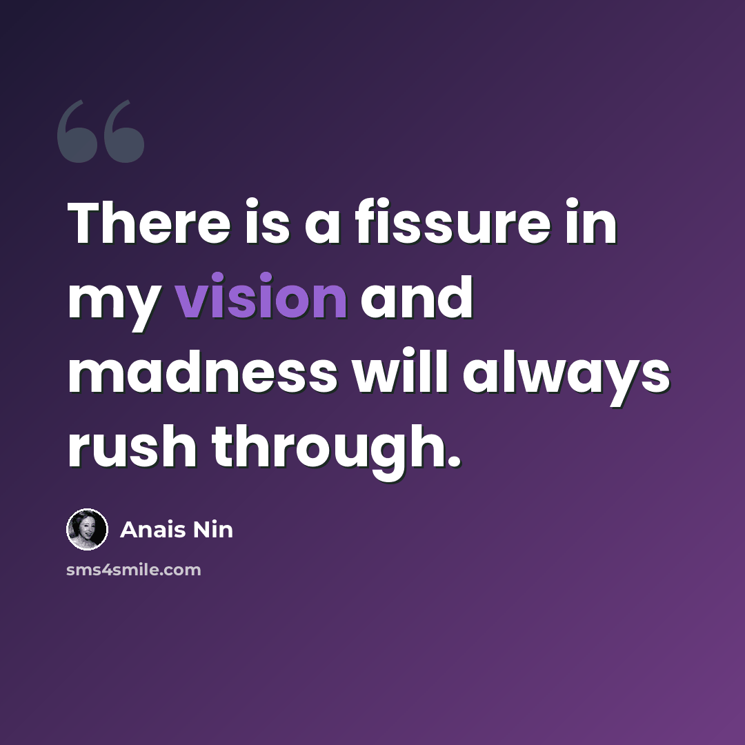 “There is a fissure in my vision and madness will always rush through.” quote by Anais Nin