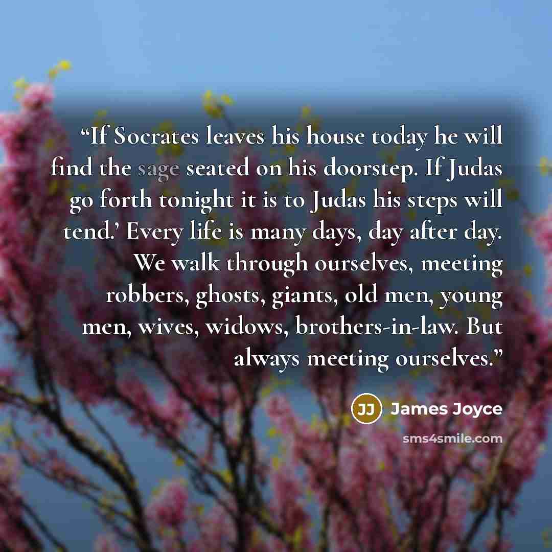 “If Socrates leaves his house today he will find the sage seated on his doorstep. If Judas go forth tonight it is to Judas his steps will tend.’ Every life is many days, day after day. We walk through ourselves, meeting robbers, ghosts, giants, old men, young men, wives, widows, brothers-in-law…” quote by James Joyce