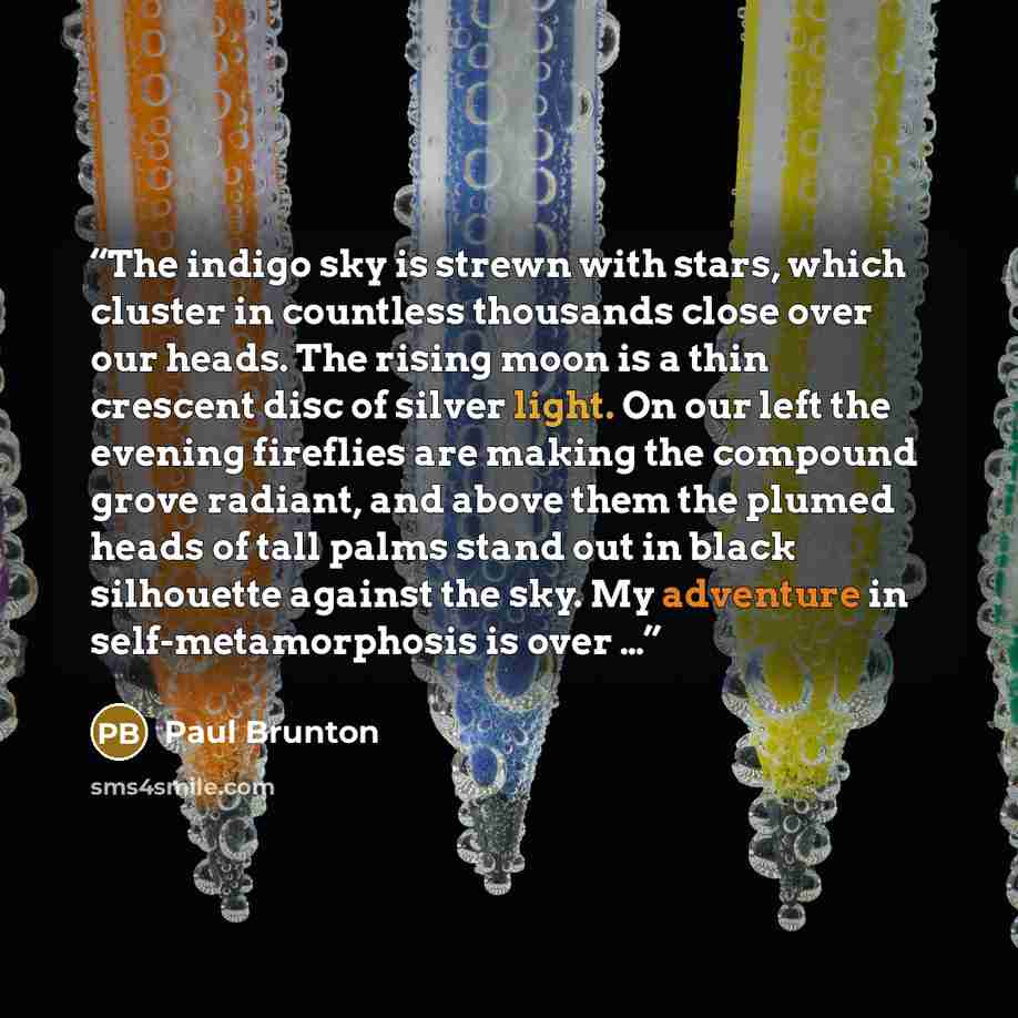 “The indigo sky is strewn with stars, which cluster in countless thousands close over our heads. The rising moon is a thin crescent disc of silver light. On our left the evening fireflies are making the compound grove radiant, and above them the plumed heads of tall palms stand out in black…” quote by Paul Brunton
