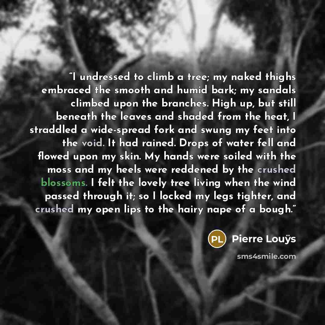 “I undressed to climb a tree; my naked thighs embraced the smooth and humid bark; my sandals climbed upon the branches. High up, but still beneath the leaves and shaded from the heat, I straddled a wide-spread fork and swung my feet into the void. It had rained. Drops of water fell and flowed upon…” quote by Pierre Louÿs