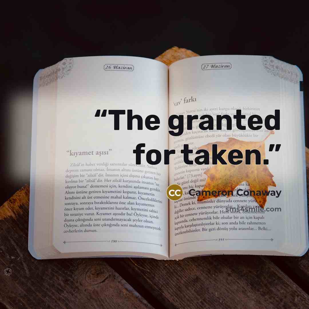 “The granted for taken.” quote by Cameron Conaway