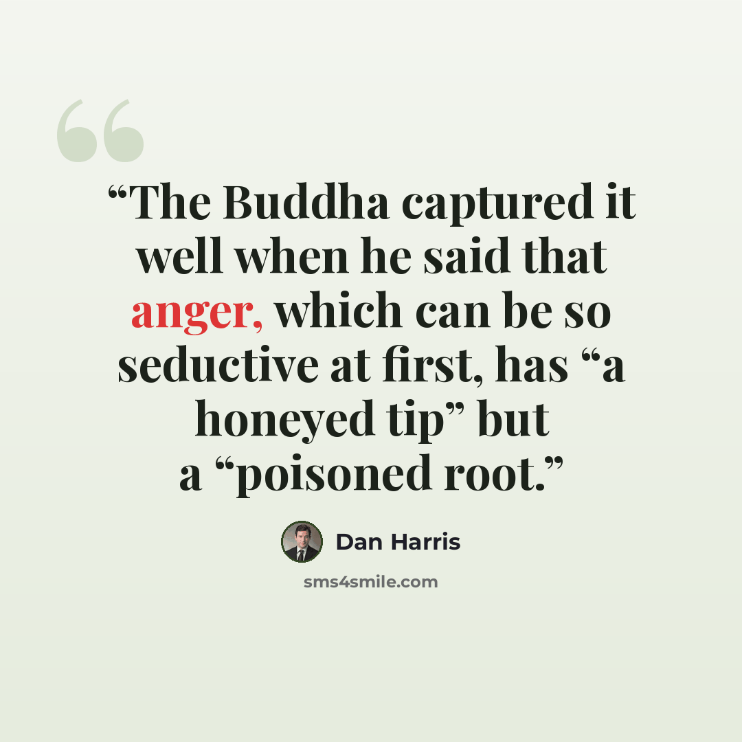 “The Buddha captured it well when he said that anger, which can be so seductive at first, has “a honeyed tip” but a “poisoned root.” quote by Dan Harris