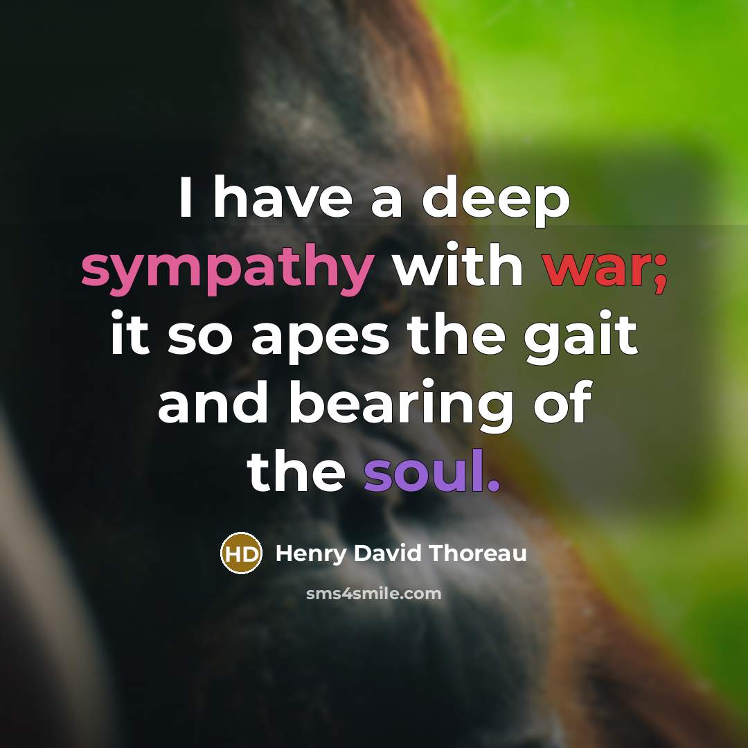 “I have a deep sympathy with war; it so apes the gait and bearing of the soul.” quote by Henry David Thoreau